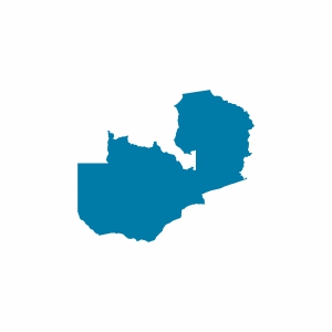 Zambiya Vizesi